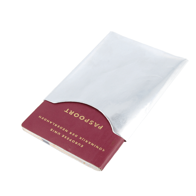passport shield icon 1